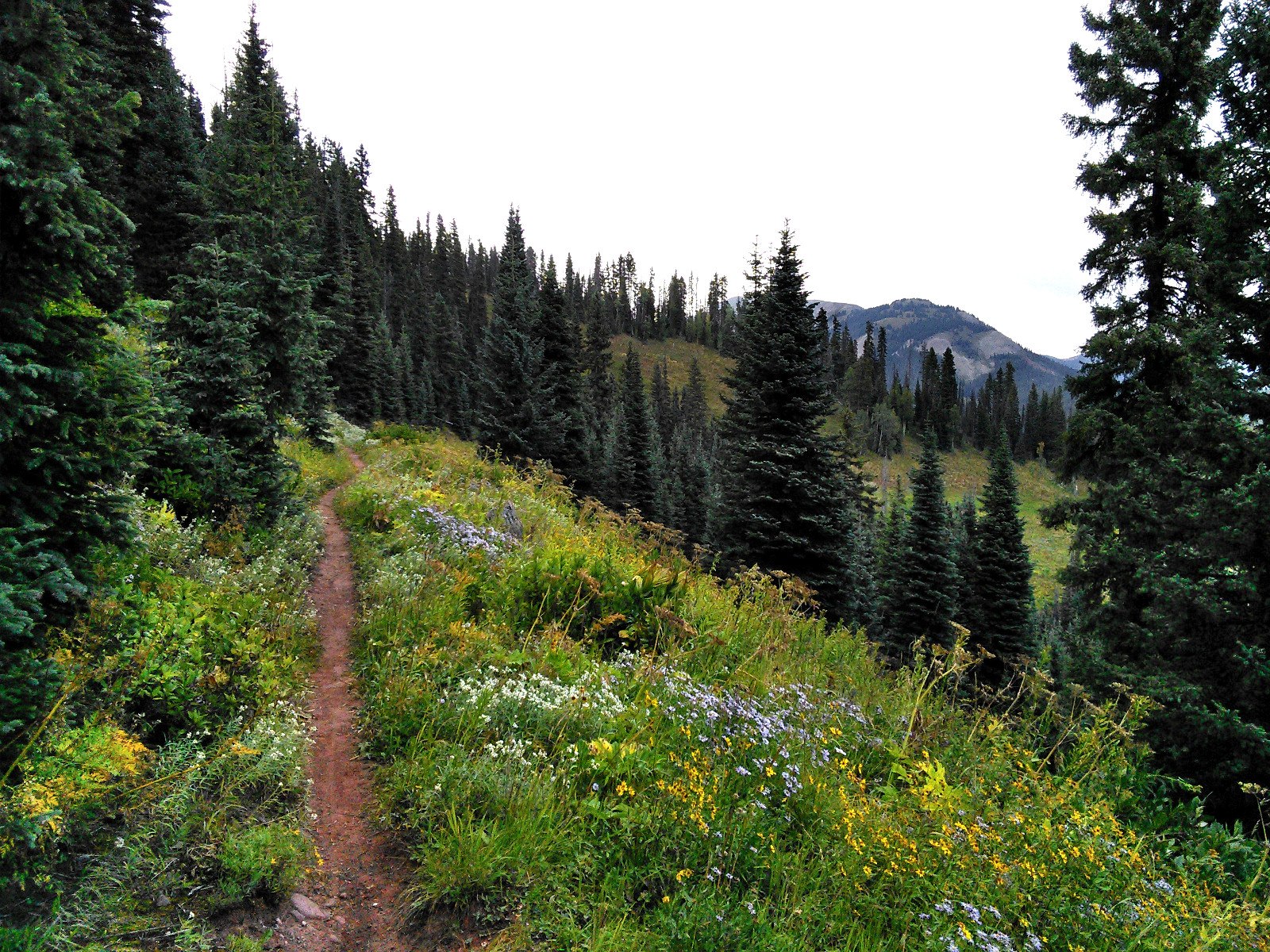 The Colorado Trail