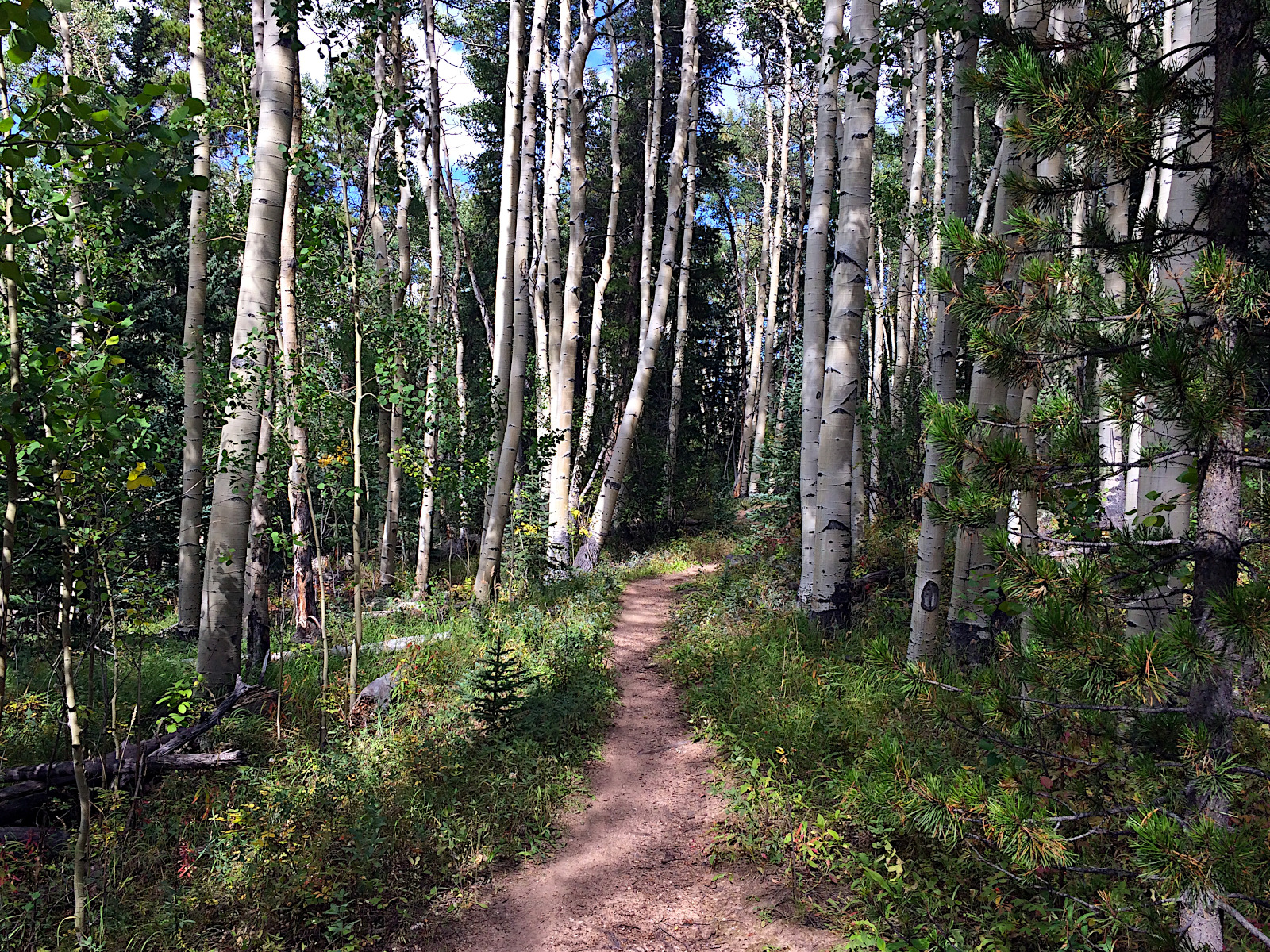 The Colorado Trail